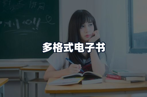 多格式电子书